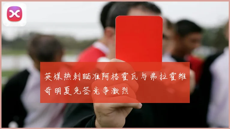 英媒热刺瞄准阿格霍瓦与弗拉霍维奇明夏免签竞争激烈