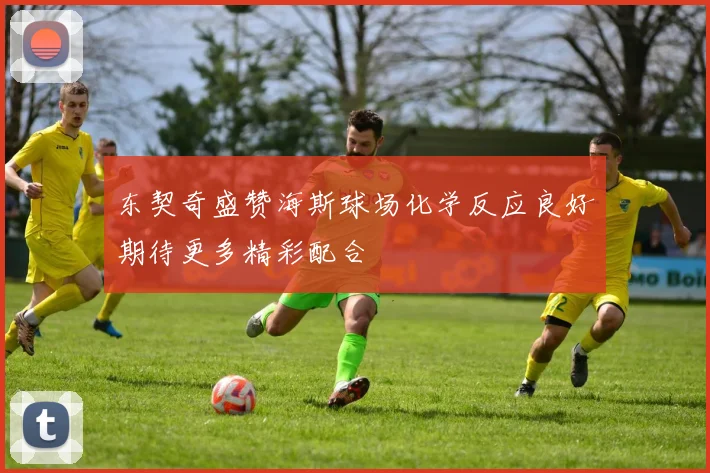 东契奇盛赞海斯球场化学反应良好期待更多精彩配合