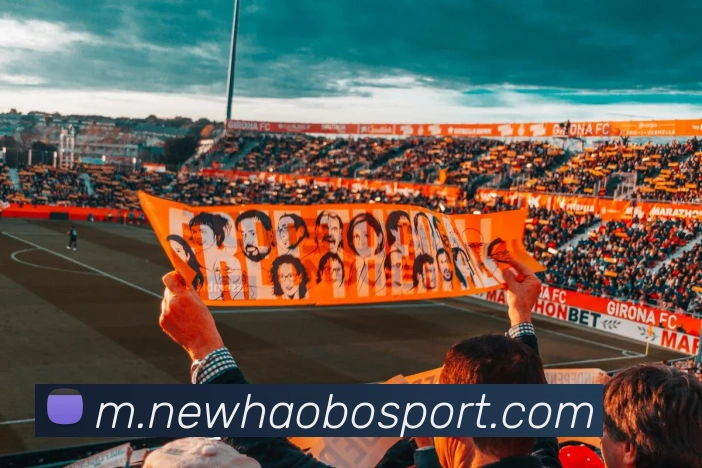 多媒体互动体验