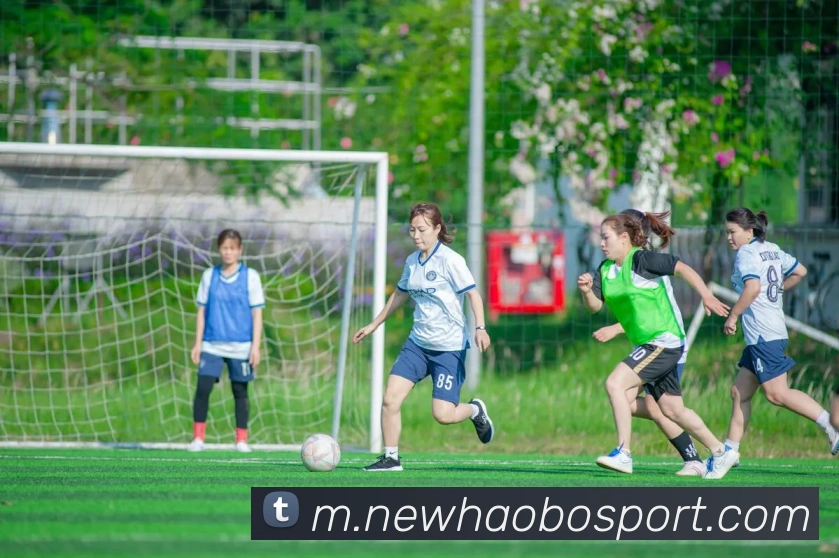 好博足球APP 高清赛事图